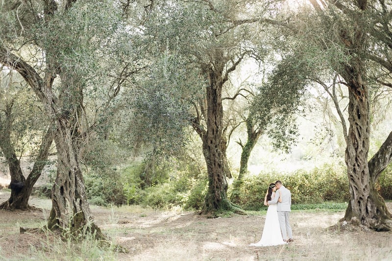 Moonbeam Honeymoons